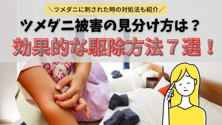 効果的なツメダニ駆除方法7選!特徴や刺された時の見分け方・対処法を徹底解説