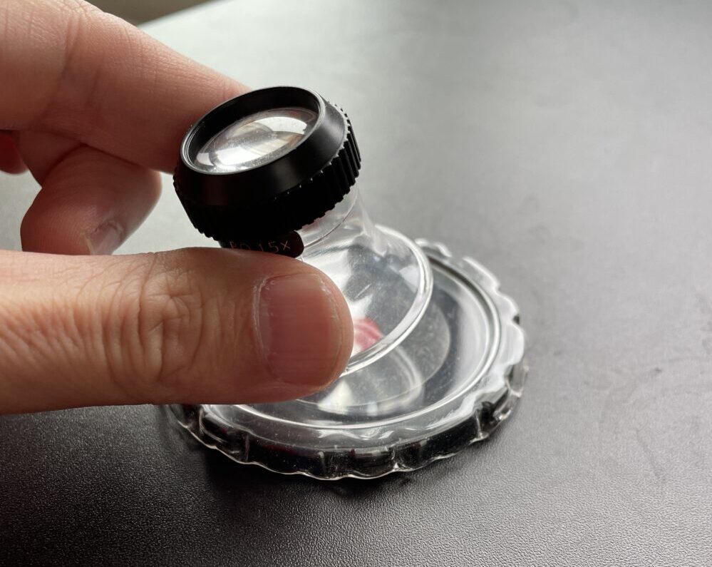 ダニ目視キット